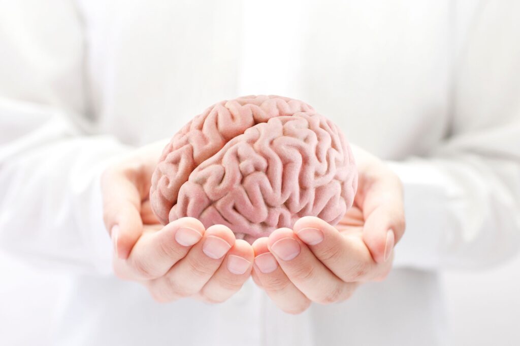 Ludzki mózg - poznaj 5 fascynujących faktów. Dowiedz się, jak działa nasz umysł, co sprawia, że jest tak wyjątkowy, i odkryj ciekawostki!